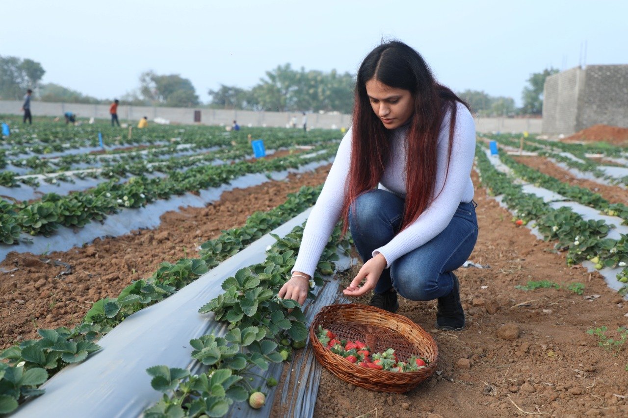 Gurleen Chawla