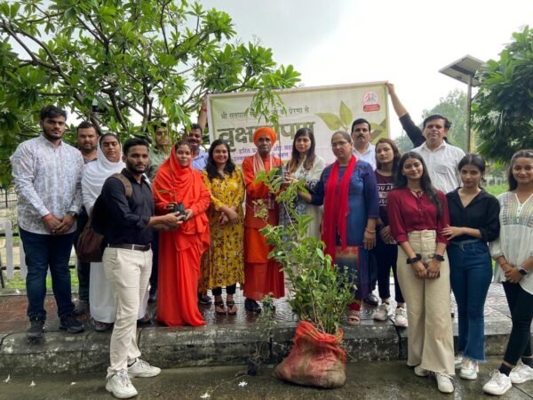 TREE PLANTATION