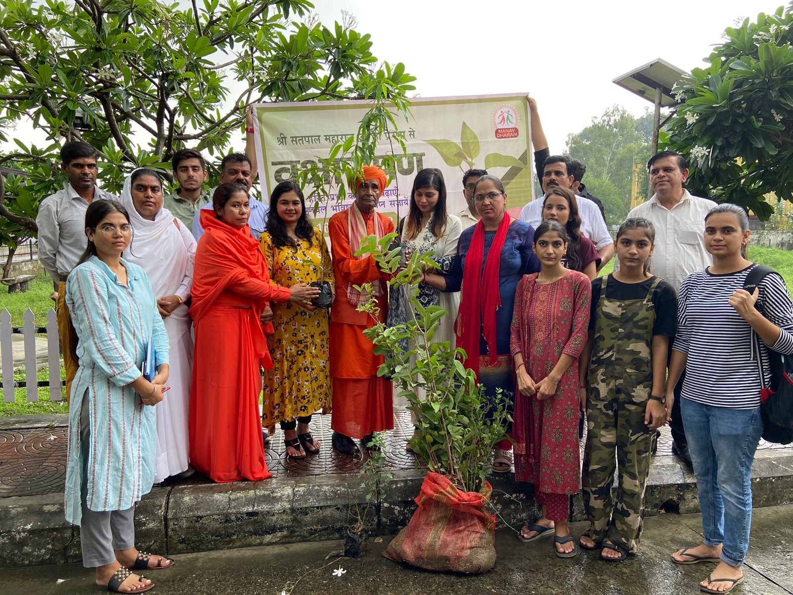 TREE PLANTATION