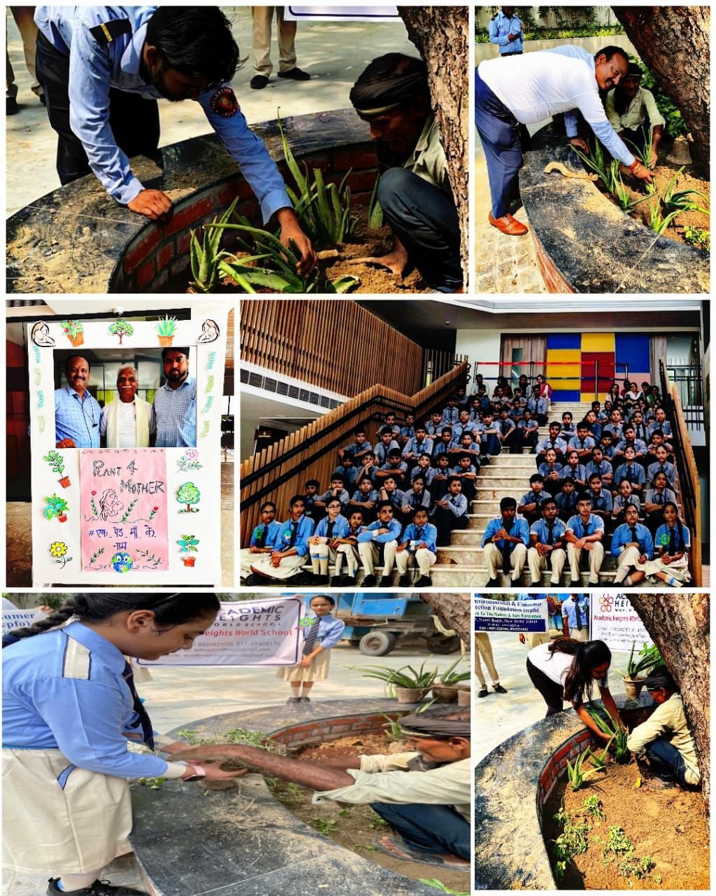 Tree Plantation